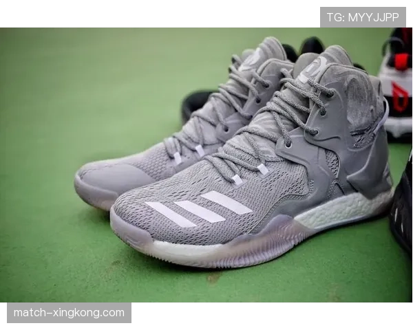 灰狼队新股东带来资源 球队在明尼苏达州的商业拓展计划加速